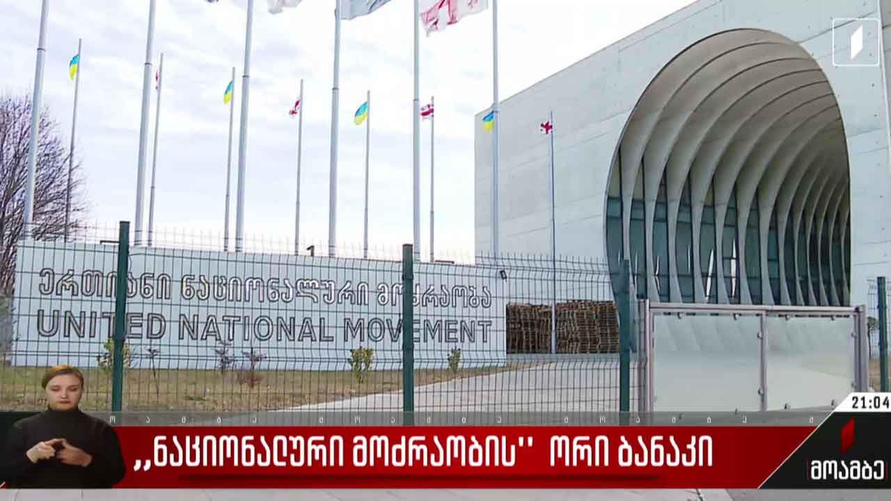 „ნაციონალური მოძრაობის“ ორი ბანაკი