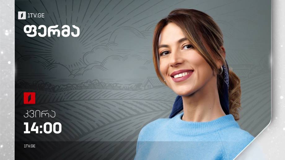 „ფერმა“ – 15 იანვარს, 14:00