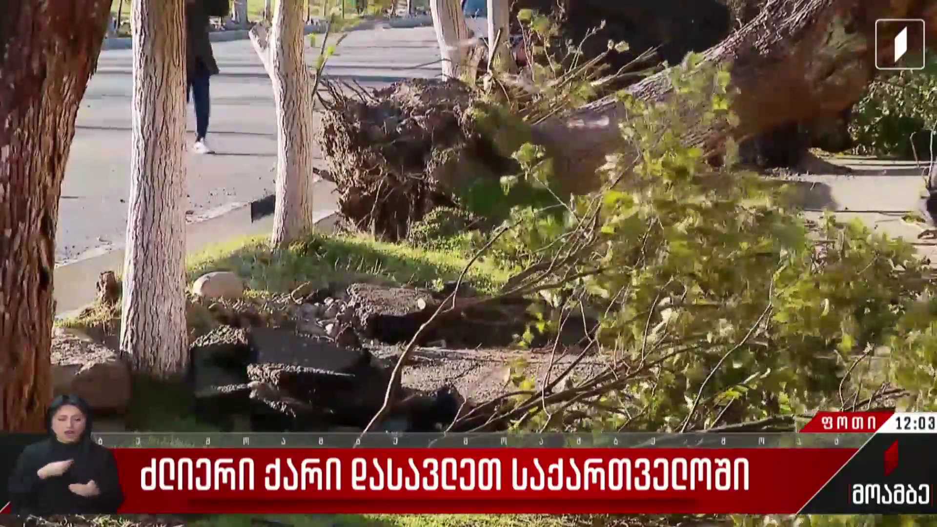 ძლიერი ქარი დასავლეთ საქართველოში
