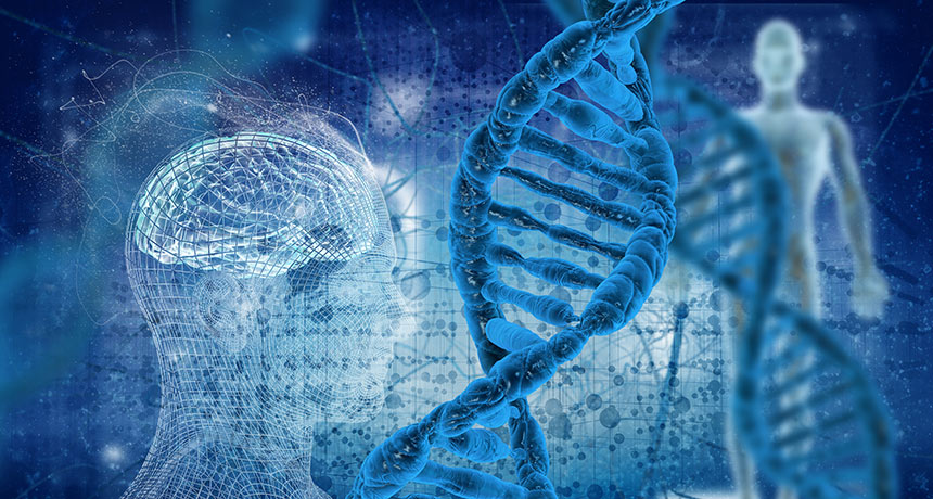 ადამიანებში ჯერ კიდევ არის გენები, რომლებიც მთლიანი სხეულის ბალნით დაფარვისთვის არის საჭირო — #1tvმეცნიერება
