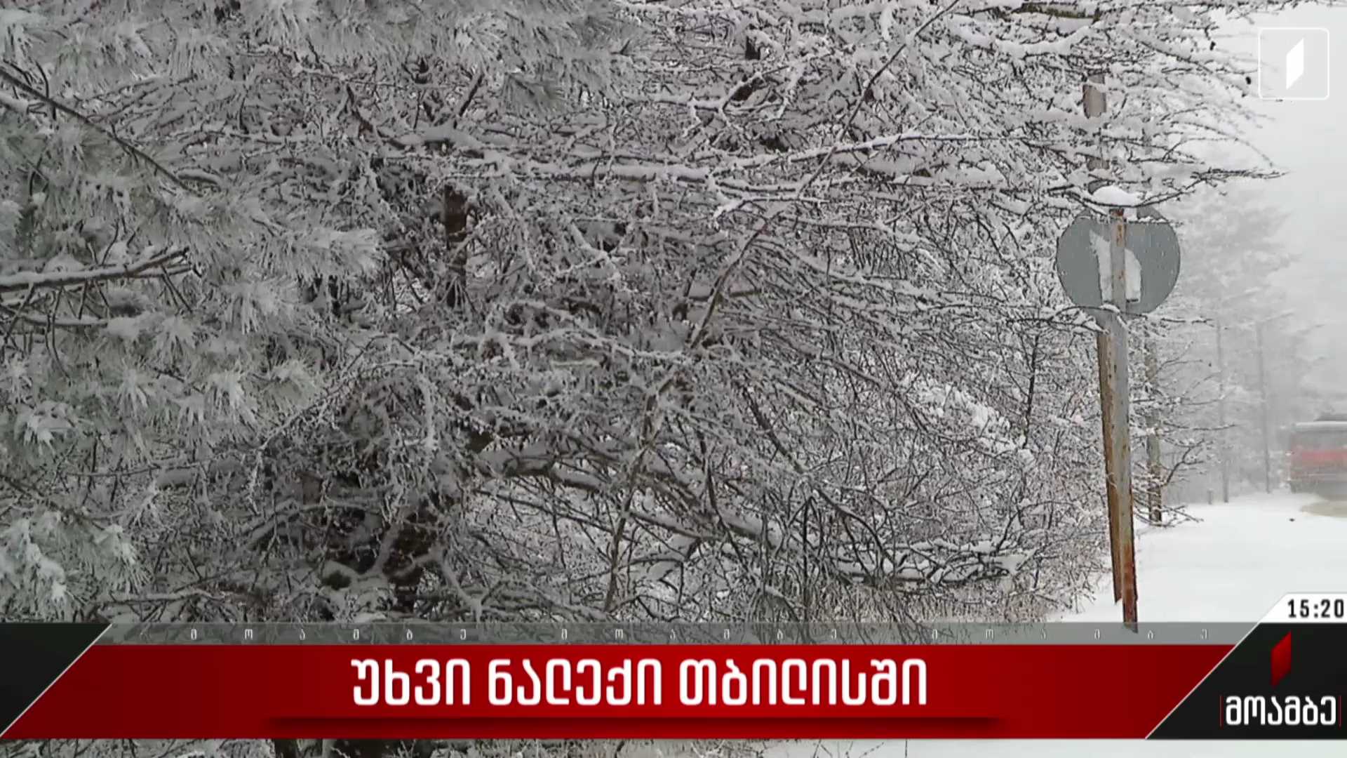 უხვი ნალექი თბილისში