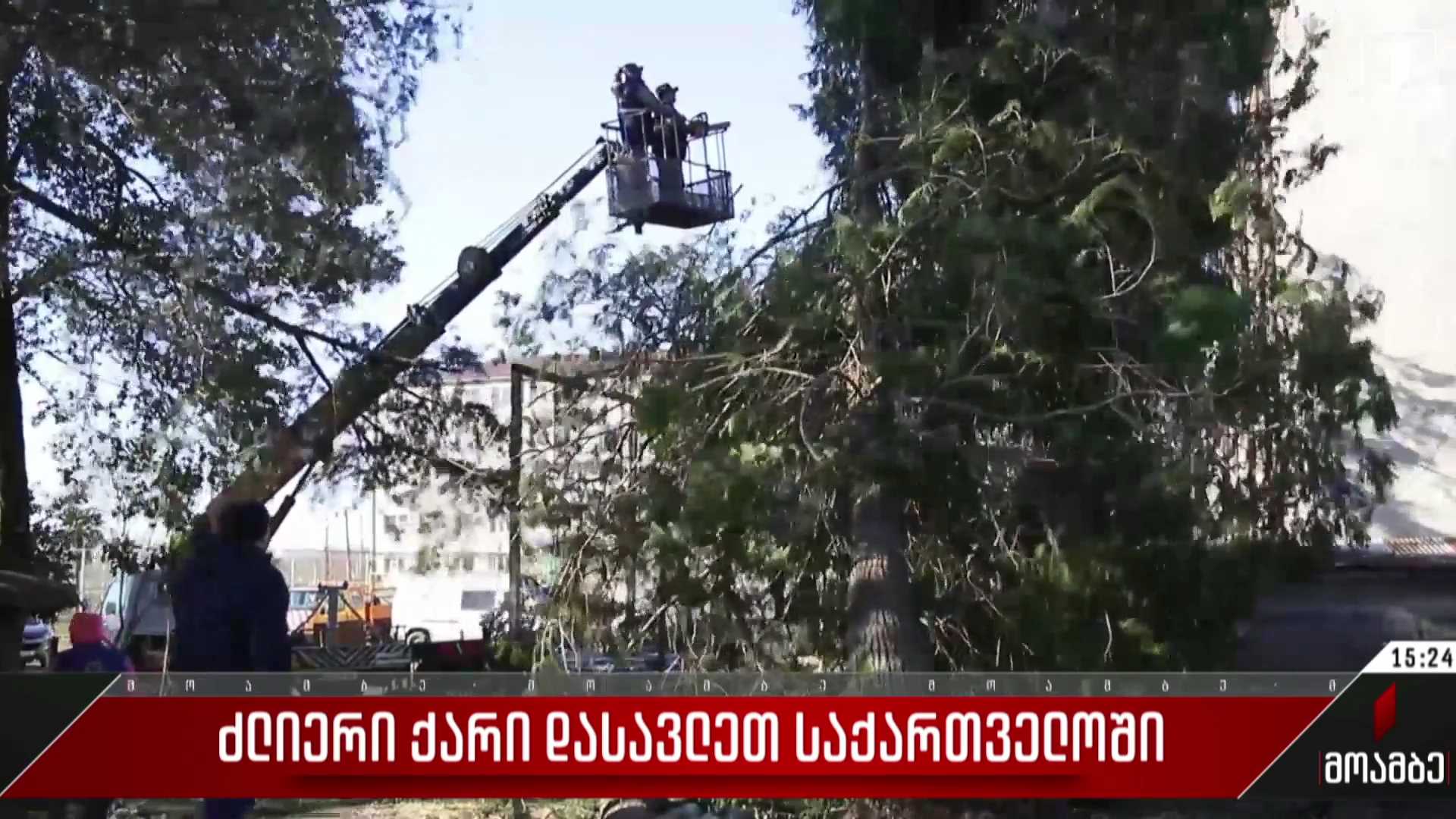 ძლიერი ქარი სამეგრელოში