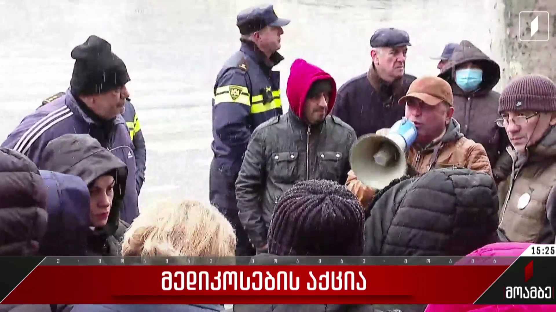 მედიკოსების აქცია