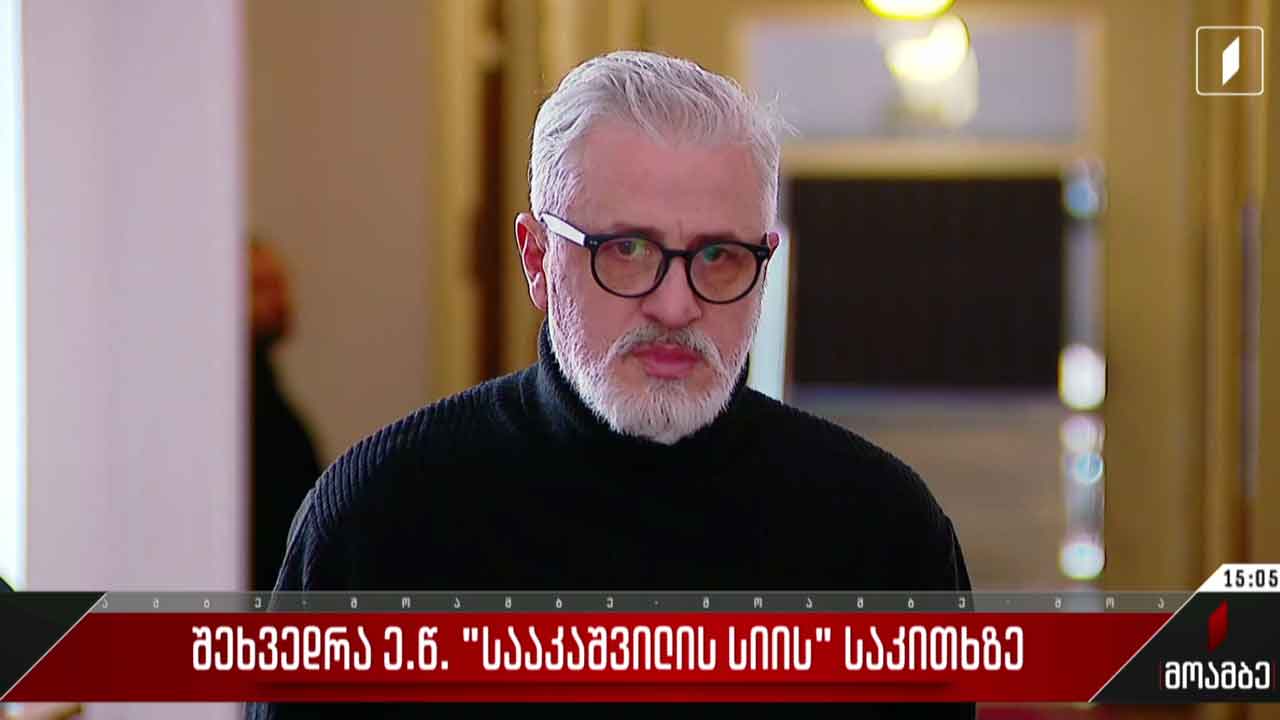 შეხვედრა „სააკაშვილის სიის“ საკითხზე