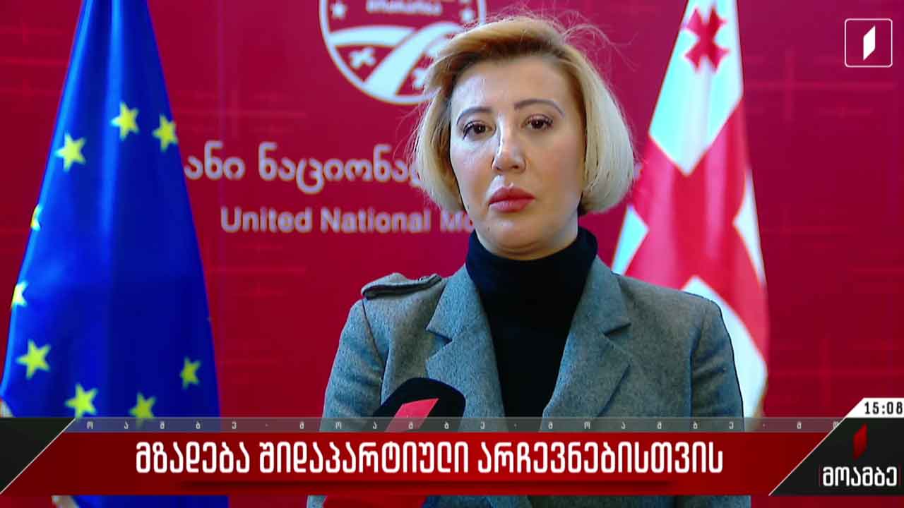 მზადება შიდაპარტიული არჩევნებისთვის