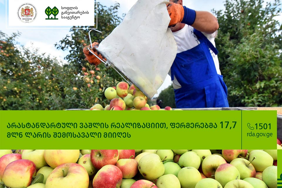 გარემოს დაცვისა და სოფლის მეურნეობის სამინისტრო - არასტანდარტული ვაშლის რეალიზაციით ფერმერებმა 17,7 მლნ ლარის შემოსავალი მიიღეს