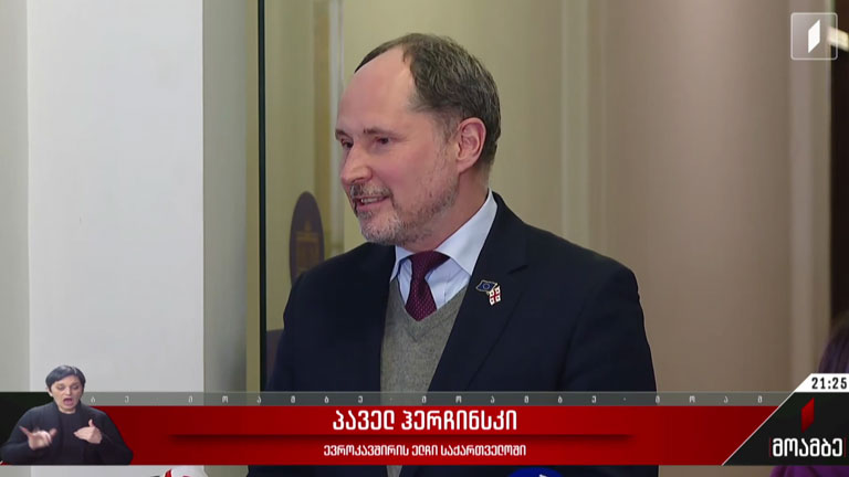 ევროკავშირის ელჩის შეხვედრები პარლამენტში