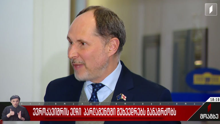 ევროკავშირის ელჩი პარლამენტში შეხვედრებს განაგრძობს