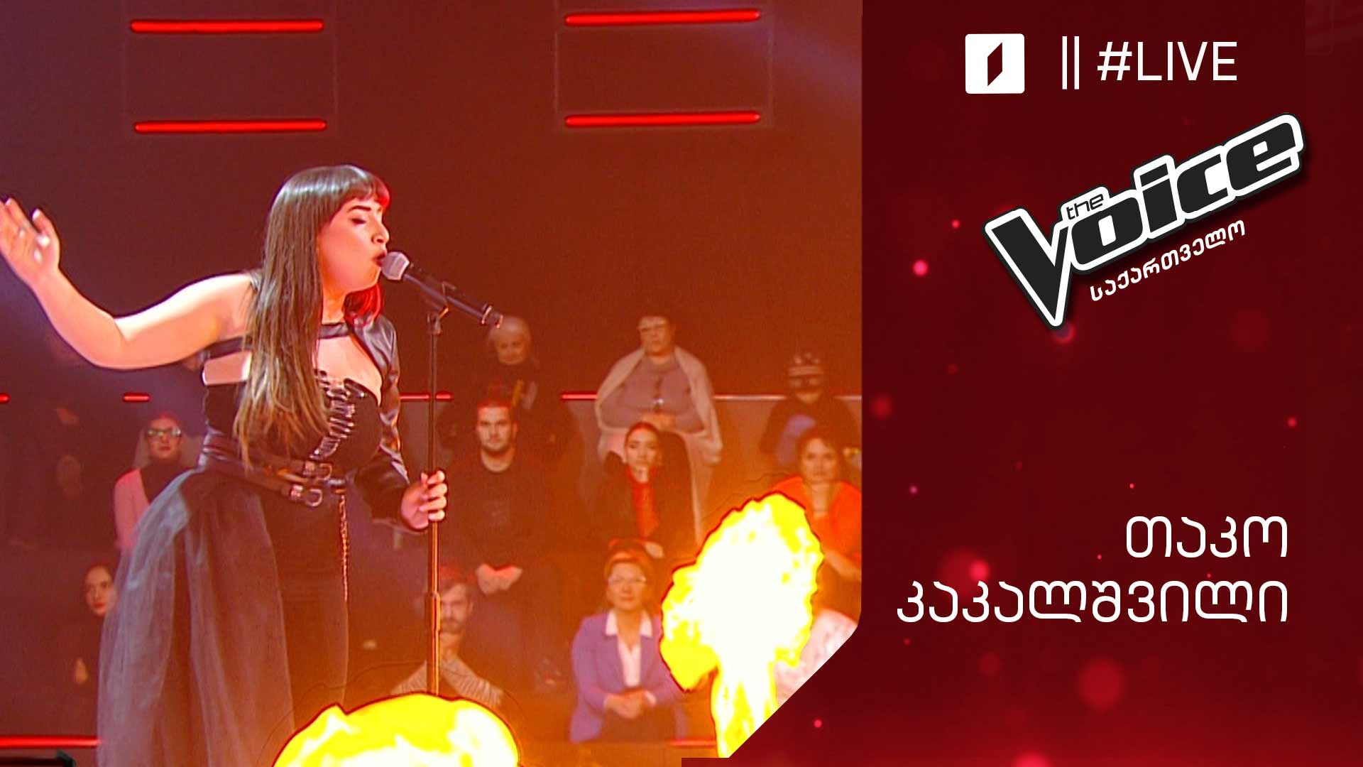 #ვოისი თაკო კაკალაშვილი | Tako kakalashvili - Habits (stay high)