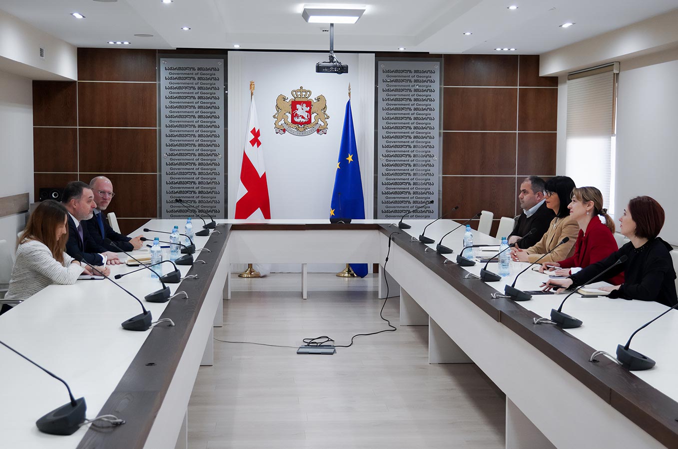თეა ახვლედიანი სამხრეთ კავკასიაში ეუთო-ს სპეციალურ წარმომადგენელ ვიორელ მოშანუსს შეხვდა