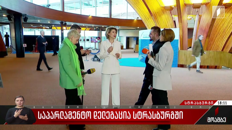 საპარლამენტო დელეგაცია სტრასბურგში