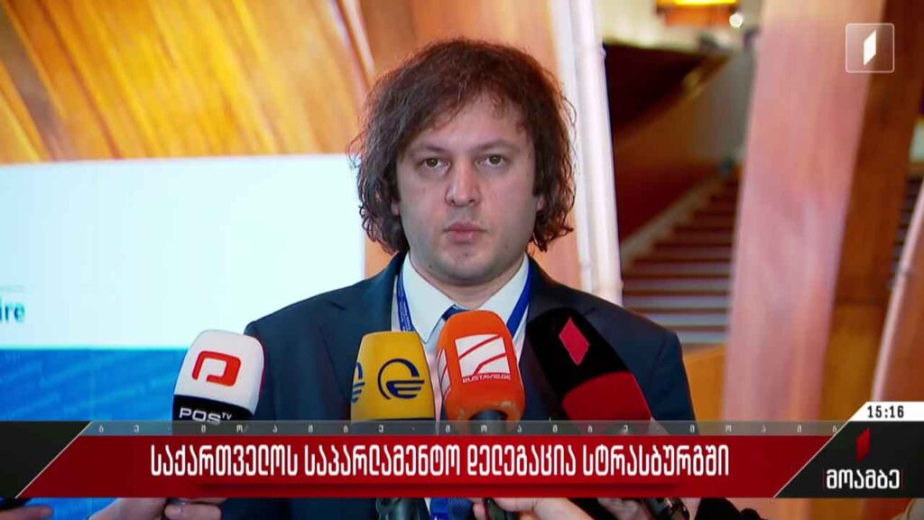 საპარლამენტო დელეგაცია სტრასბურგში