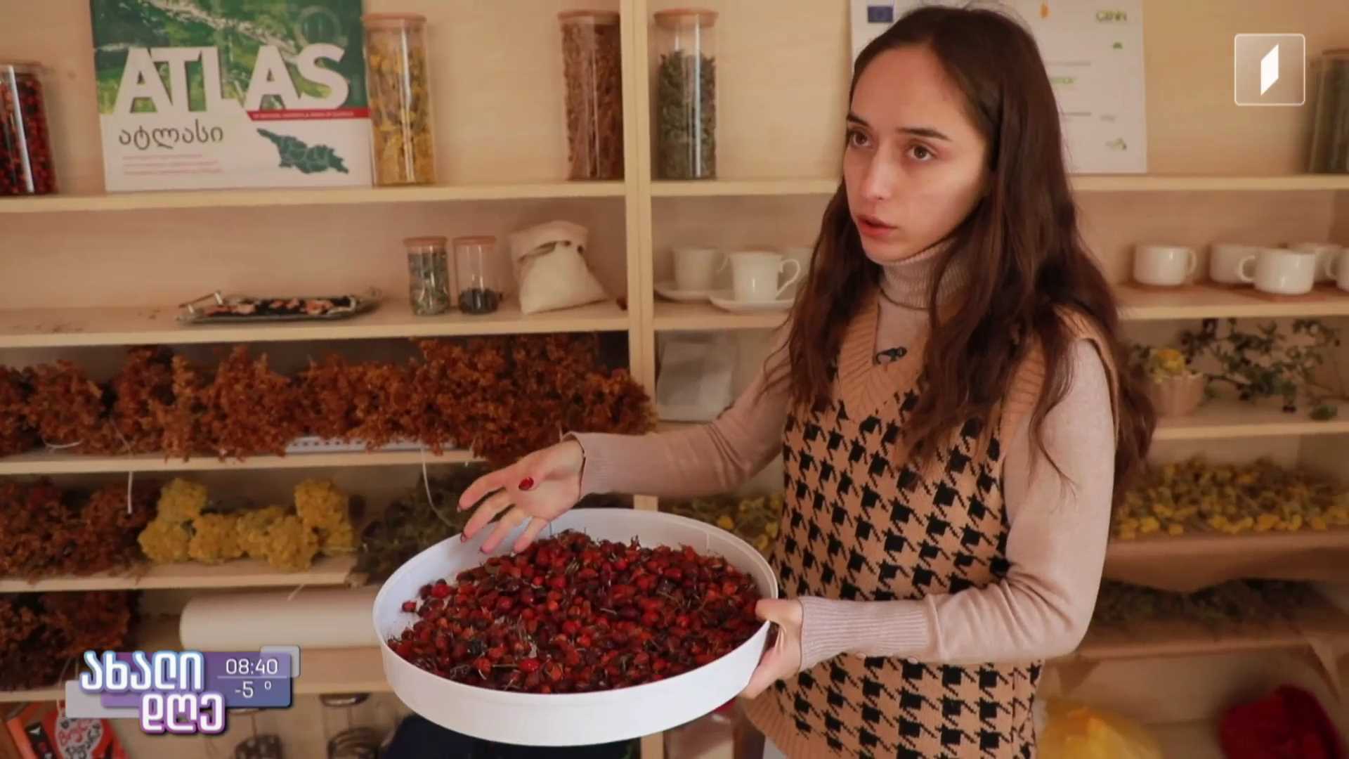 გაიცანით 23 წლის მზისა ხმალაძე ნინოწმინდიდან, რომელმაც მცენარეების შეგროვების ოჯახური ტრადიცია ბიზნესად აქცია