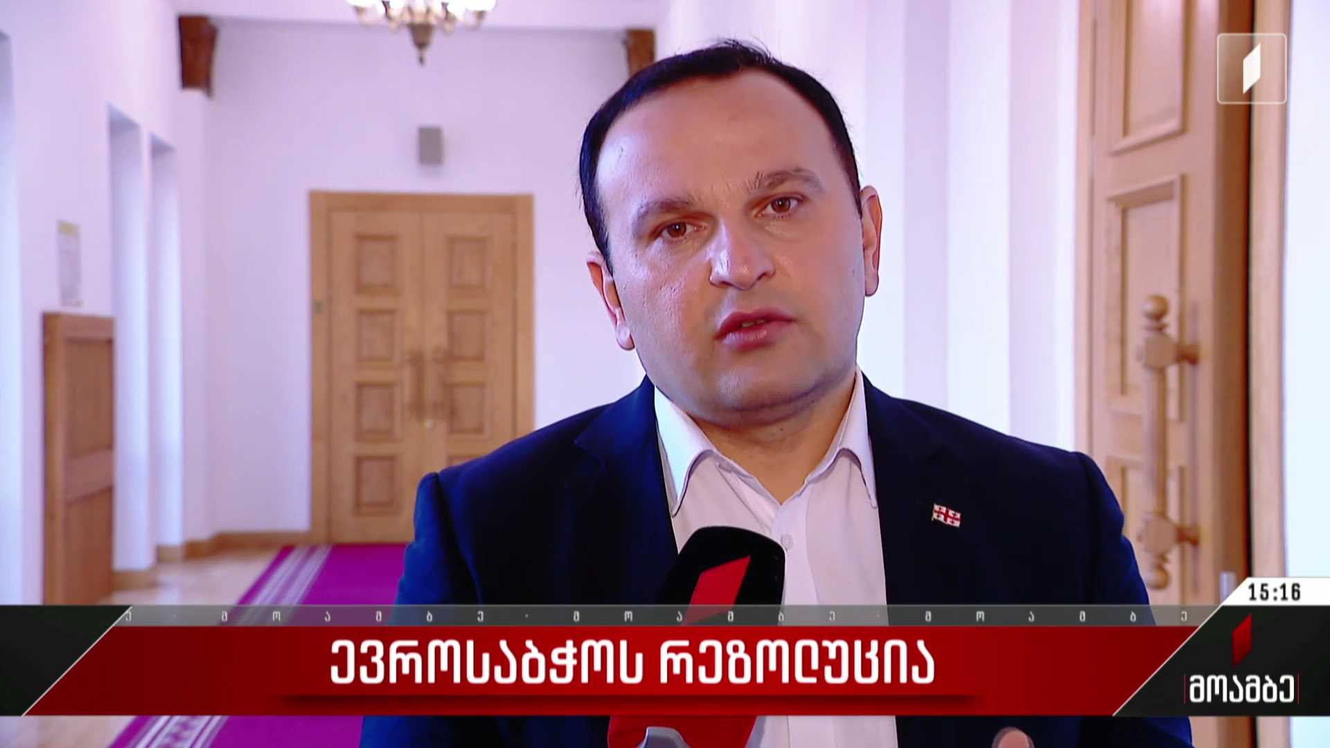 ევროსაბჭოს რეზოლუცია - შეფასებები პოლიტიკურ სპექტრში
