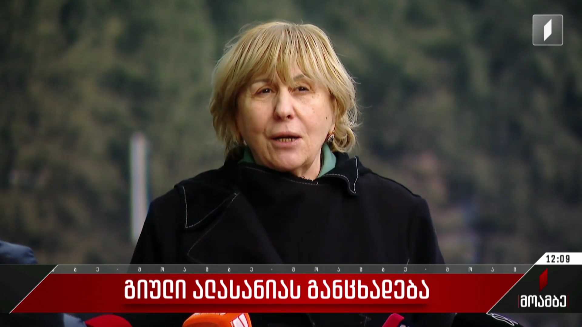 გიული ალასანიას განცხადება