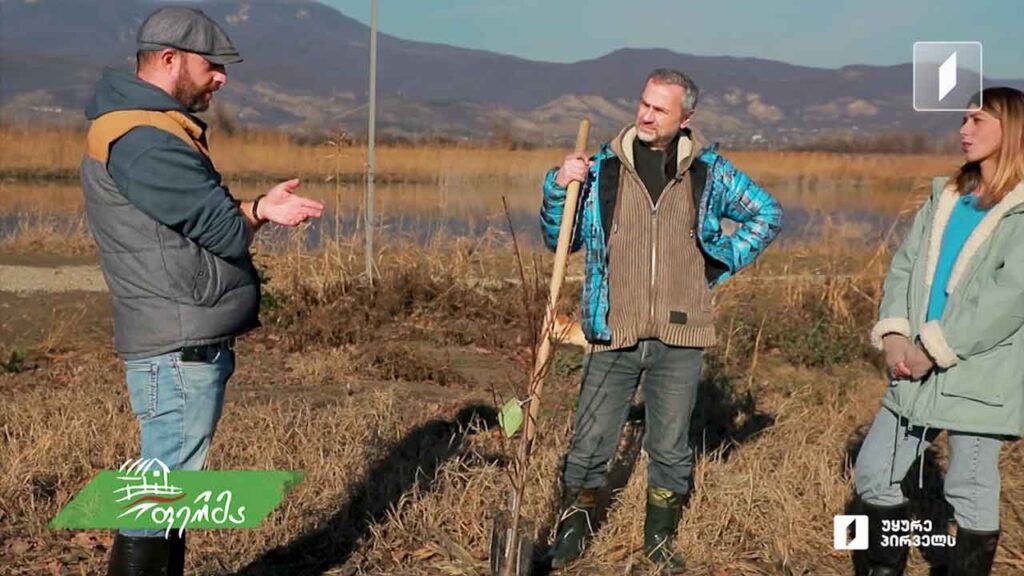 #ფერმა ირაკლი რამიშვილისა და ზურა მანჯავიძის მეურნეობა მანავში