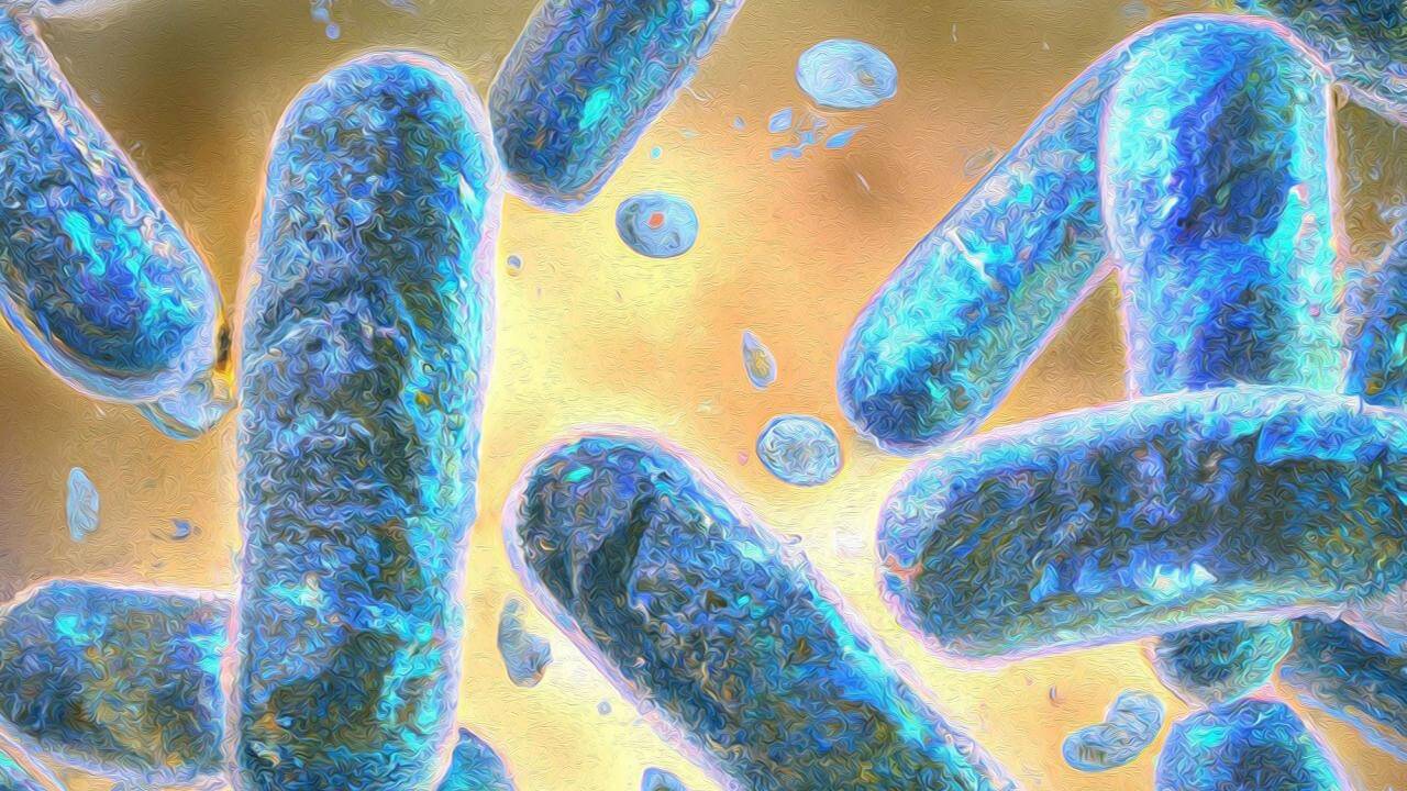 მეცნიერებმა შექმნეს ნახევრად ცოცხალი „კიბორგი“ უჯრედები, რომლებმაც შეიძლება, მედიცინაში გარღვევა მოახდინონ — #1tvმეცნიერება