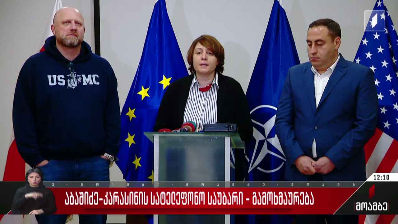 აბაშიძე-კარასინის სატელეფონო საუბარი - გამოხმაურებები