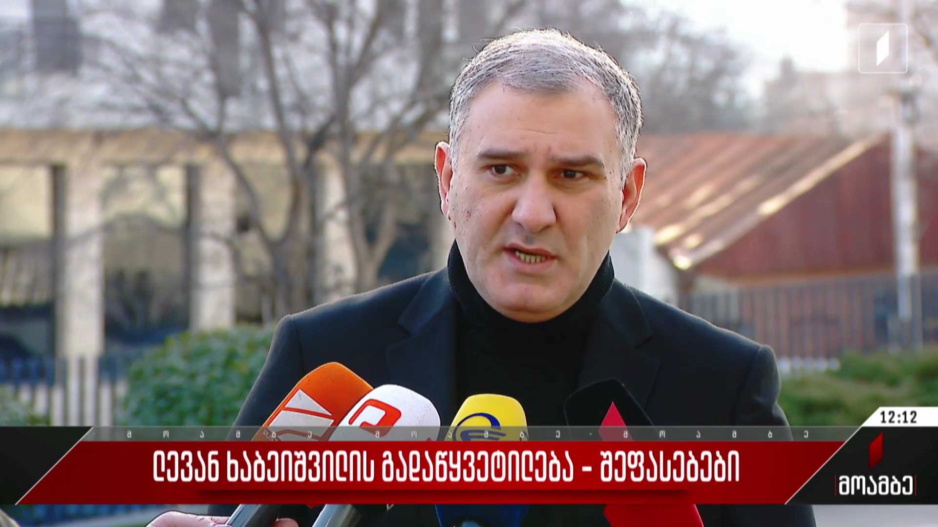 ლევან ხაბეიშვილის გადაწყვეტილება - შეფასებები ქართულ პოლიტიკურ სპექტრში