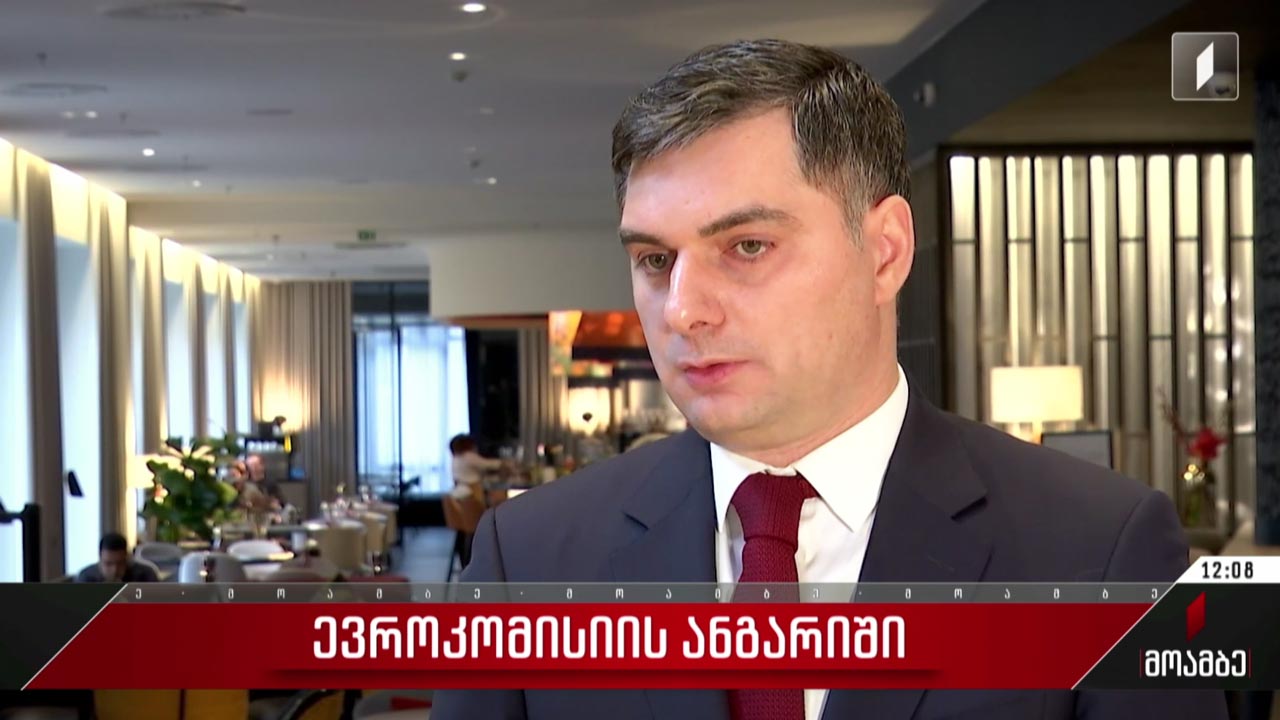 ევროკომისიის ანგარიშის შეფასებები
