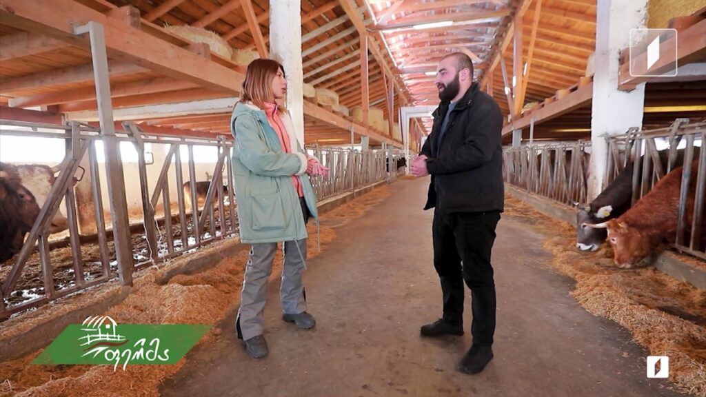 #ფერმა მეცხოველეობის შვეიცარიულ-ქართული კომპანია სოფელ შარდომეთში