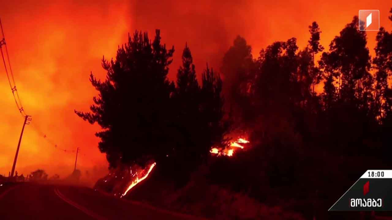 ჩილეში ხანძარს მსხვერპლი მოჰყვა