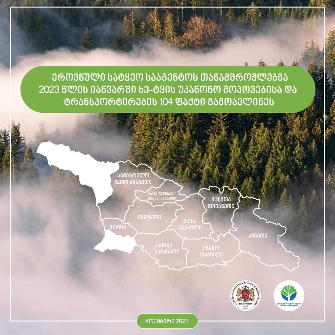 იანვარში ხე-ტყის უკანონო მოპოვებისა და ტრანსპორტირების 104 ფაქტი გამოვლინდა