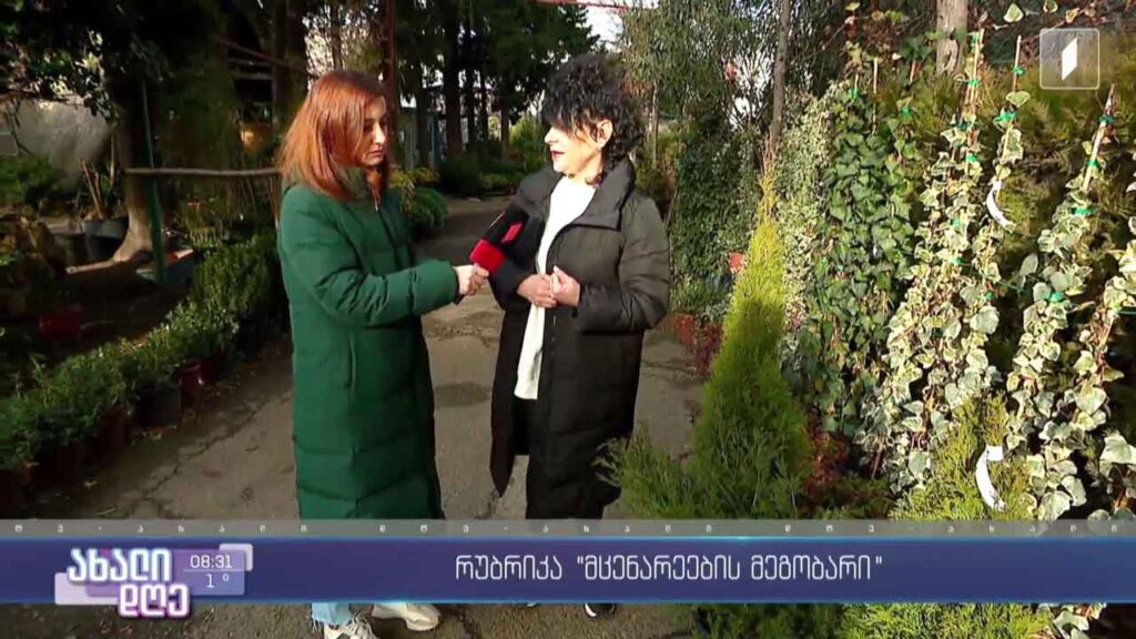 რუბრიკა „მცენარეების მეგობარი“ – როგორ ვიზრუნოთ ექსტერიერის მცენარეებზე