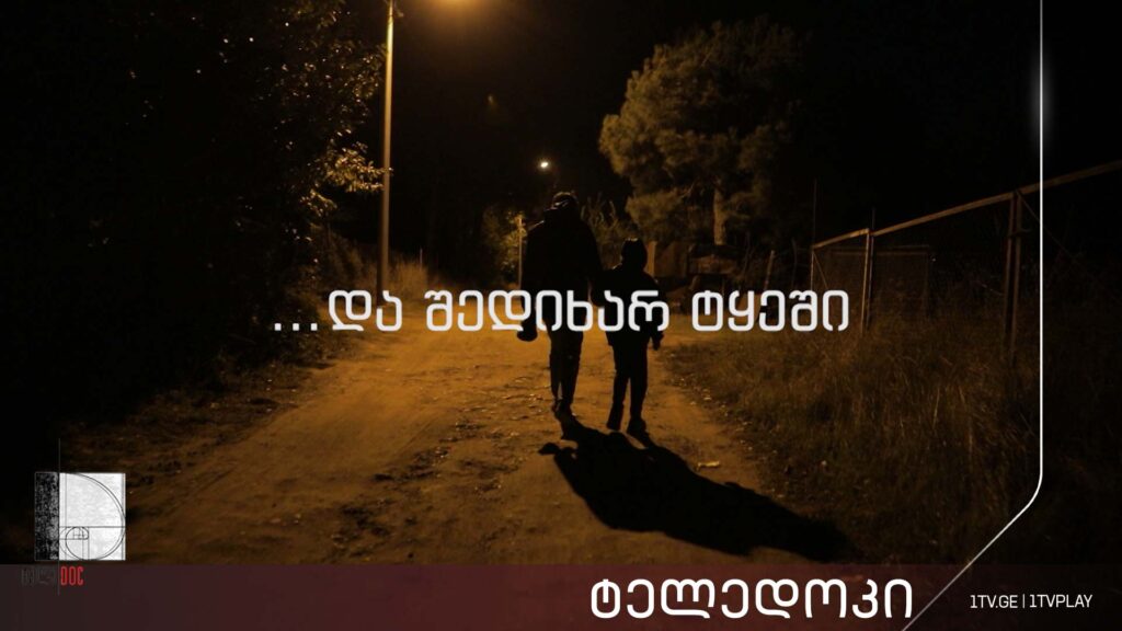 …და შედიხარ ტყეში – ანი ლუხავას #ტელედოკი