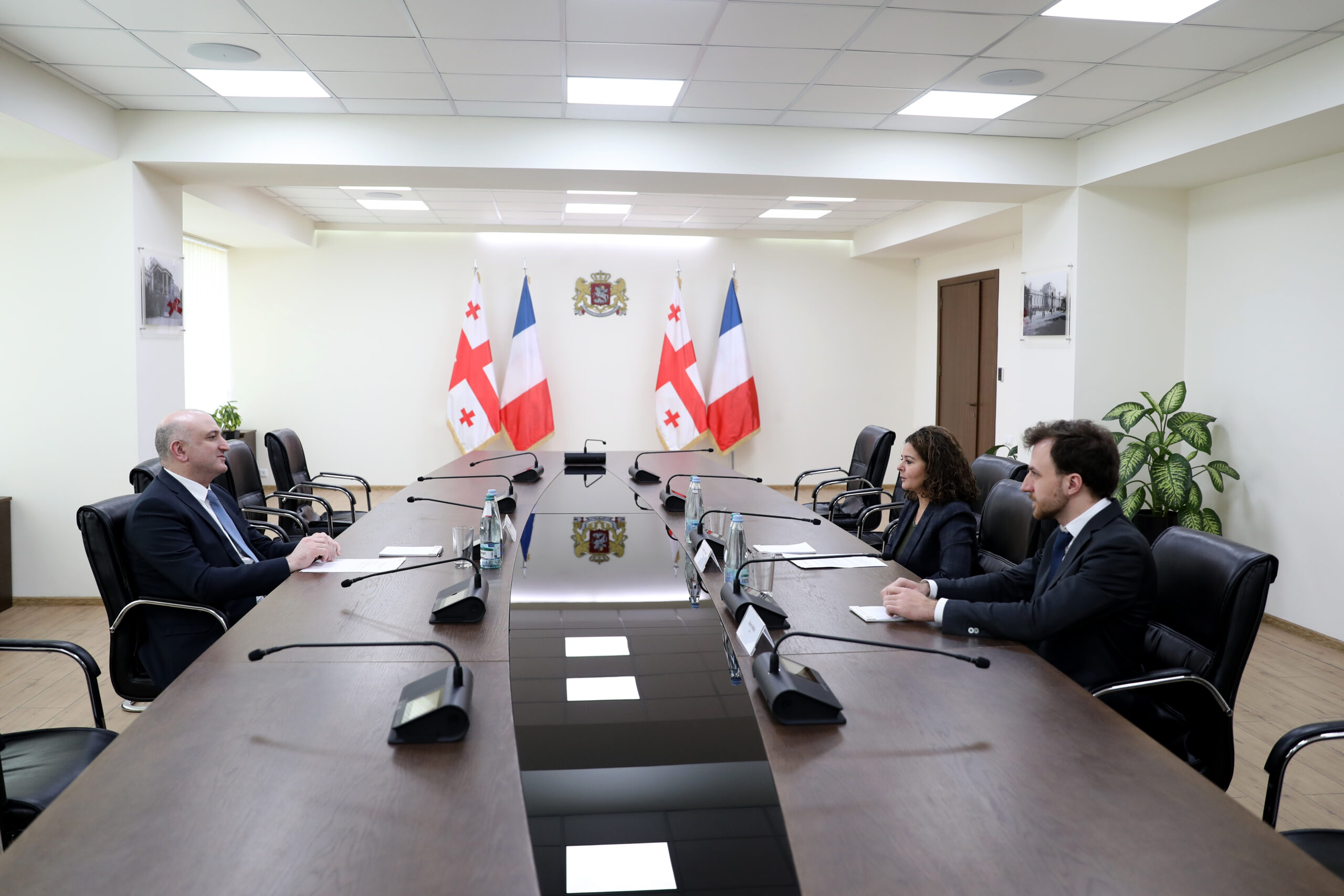 ზურაბ აზარაშვილი საფრანგეთის ელჩს, შერაზ გასრის შეხვდა