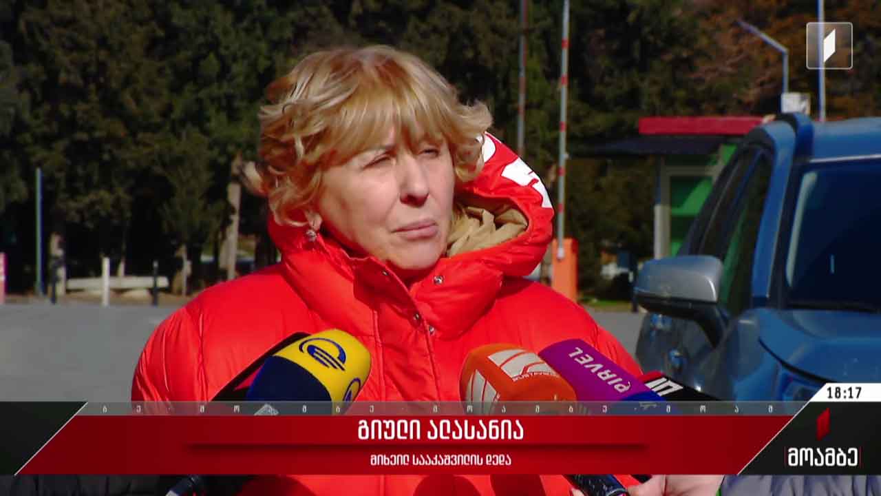 გიული ალასანიას კომენტარი