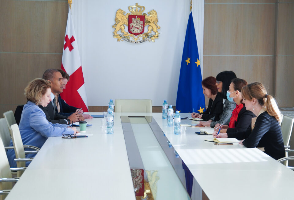 თეა ახვლედიანმა ევროპის საბჭოს დელეგაციის წევრებთან შეხვედრა გამართა
