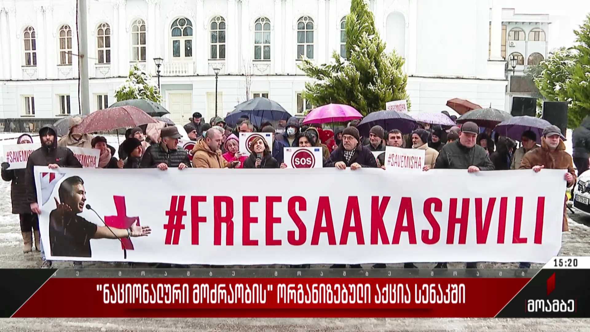 „ნაციონალური მოძრაობის“ ორგანიზებული აქცია სენაკში