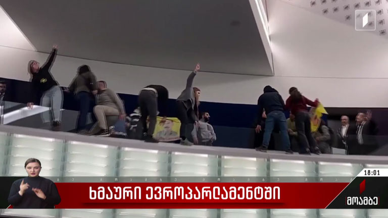 ხმაური ევროპარლამენტში