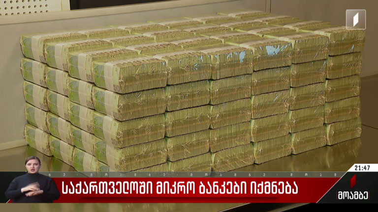 საქართველოში მიკრო ბანკები იქმნება