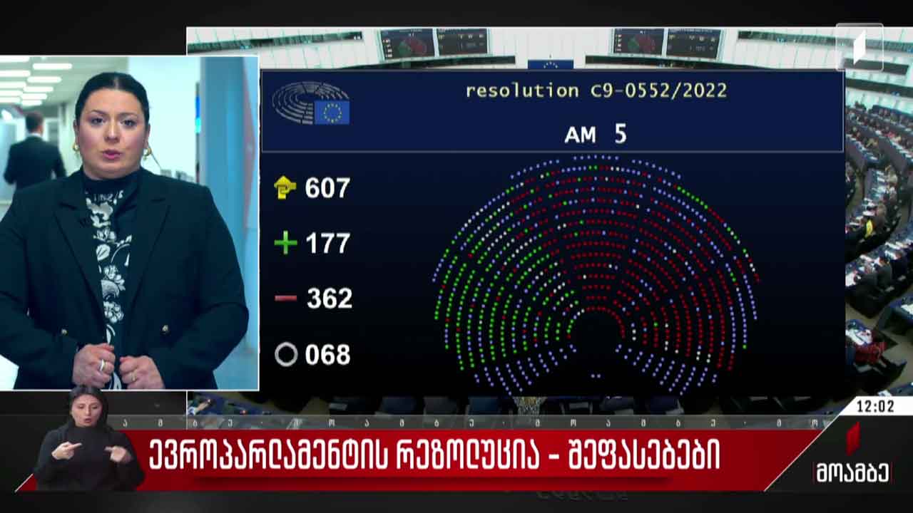 ევროპარლამენტის რეზოლუცია - შეფასებები თბილისში