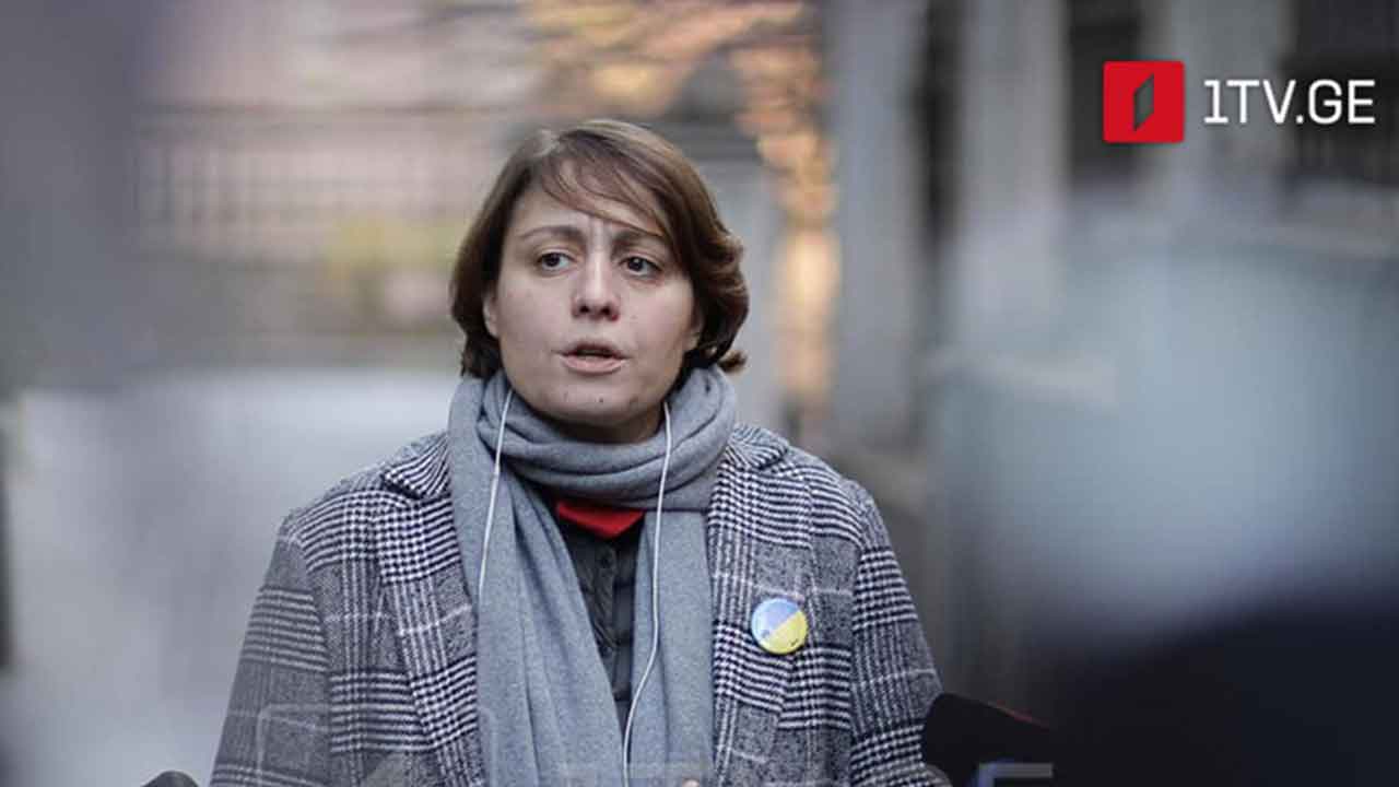 შეხვედრა უკრაინის საელჩოში