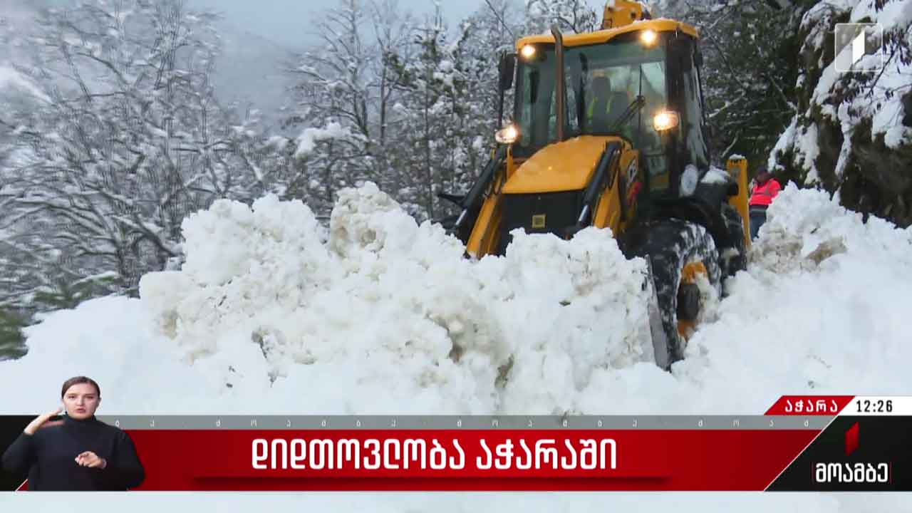 დიდთოვლობა საქართველოს რეგიონებში