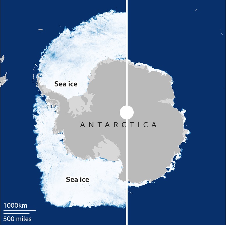 ანტარქტიდის გარშემო ზღვის ყინულის რაოდენობა ახალ რეკორდულ ნიშნულამდე შემცირდა — #1tvმეცნიერება
