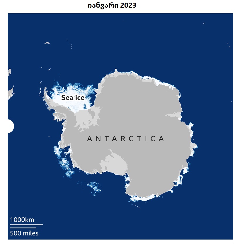 ანტარქტიდა