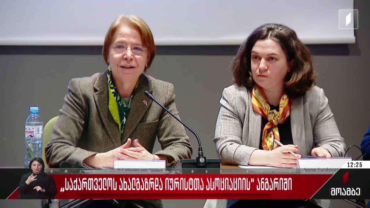 ახალგაზრდა იურისტთა ასოციაციის ანგარიში
