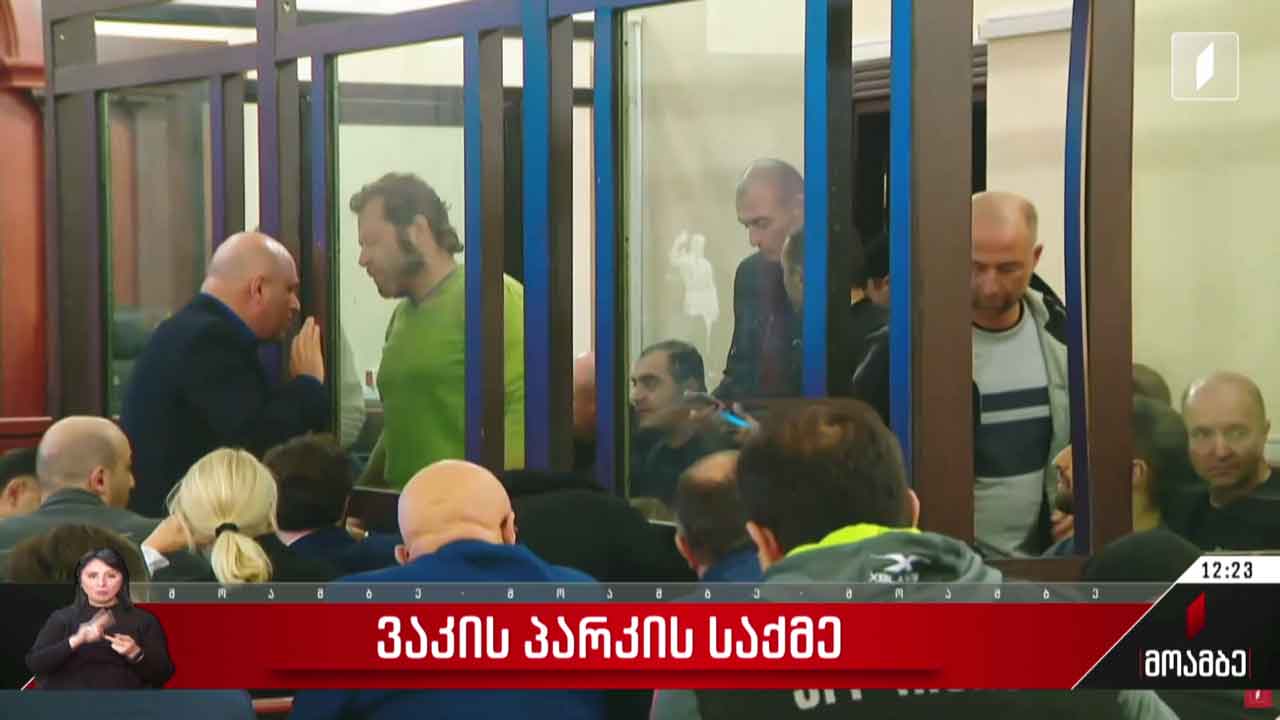 ვაკის პარკის საქმე