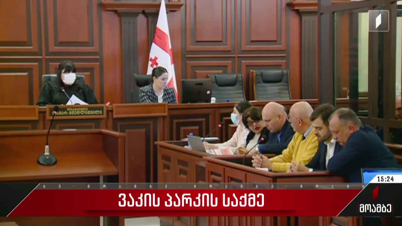 ვაკის პარკის საქმე - სასამართლო პროცესი
