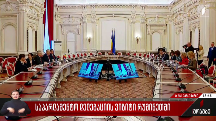 საპარლამენტო დელეგაციის ვიზიტი რუმინეთში