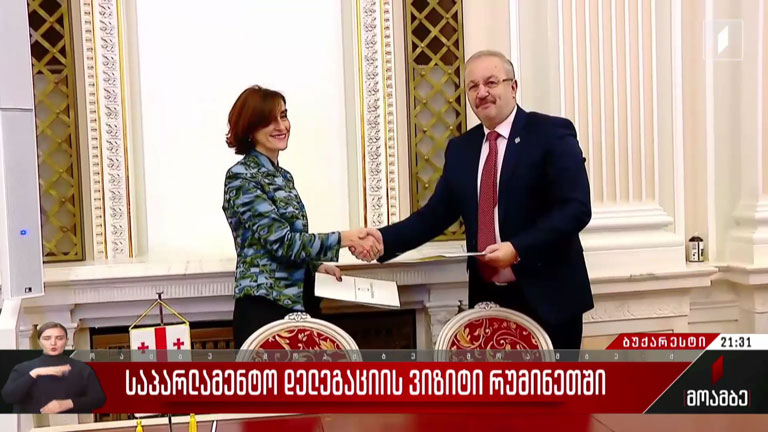 საპარლამენტო დელეგაციის ვიზიტი რუმინეთში