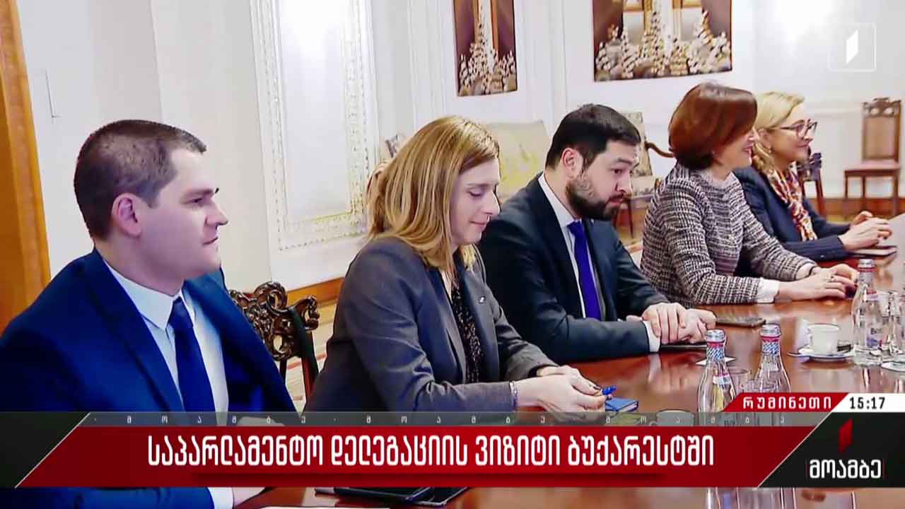 საპარლამენტო დელეგაციის ვიზიტი ბუქარესტში