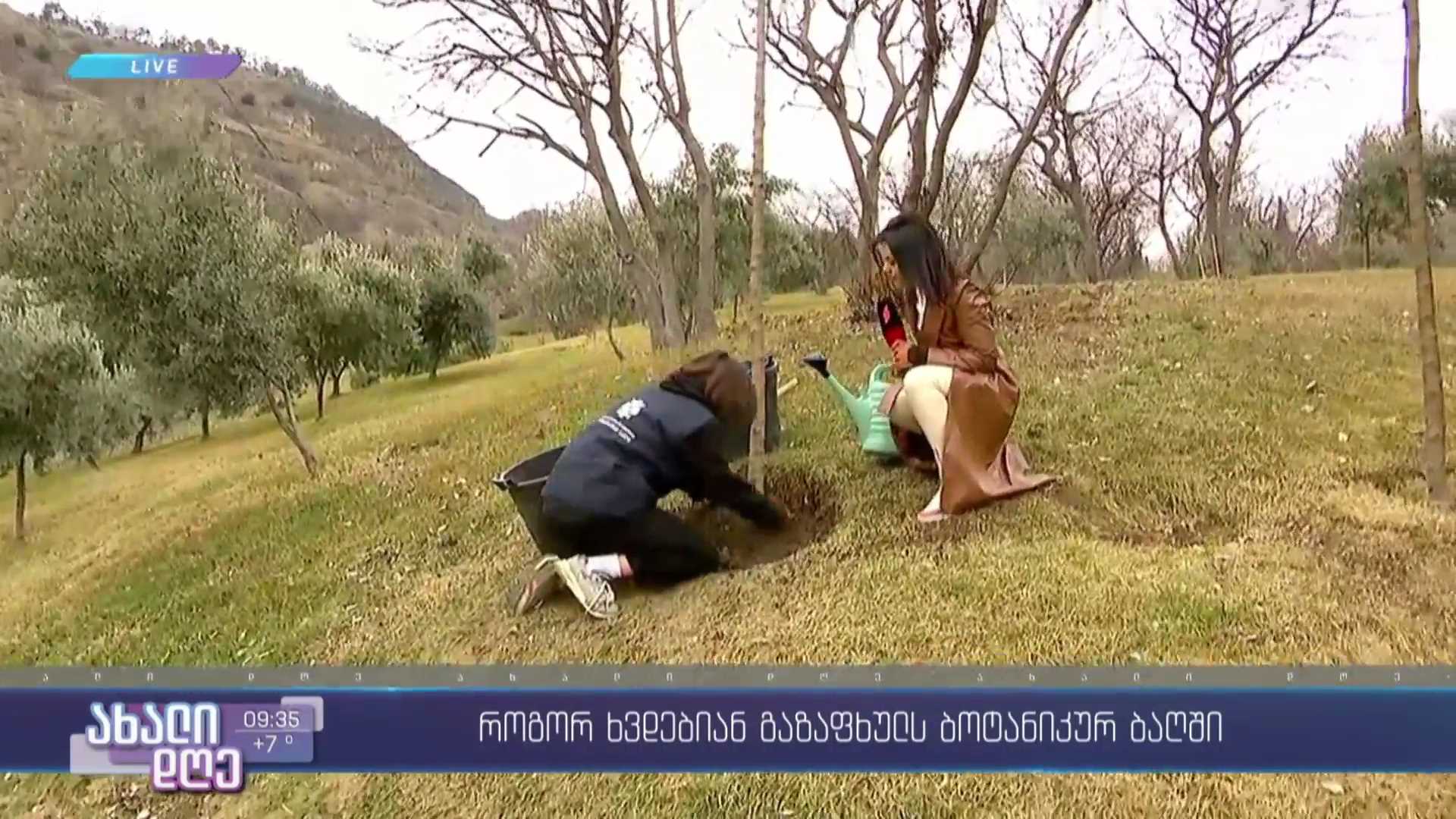 ​გაზაფხულის პირველი დღე ბოტანიკურ ბაღში