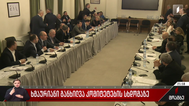 ხმაურიანი განხილვა კომიტეტების სხდომაზე