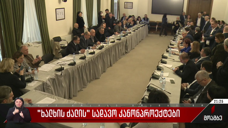 „ხალხის ძალის“ სადავო კანონპროექტები