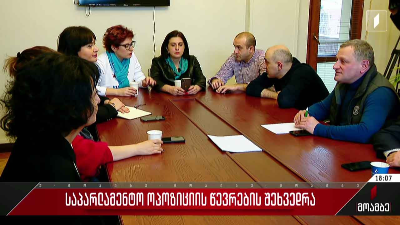 საპარლამენტო ოპოზიციის წევრების შეხვედრა - გამოხმაურება